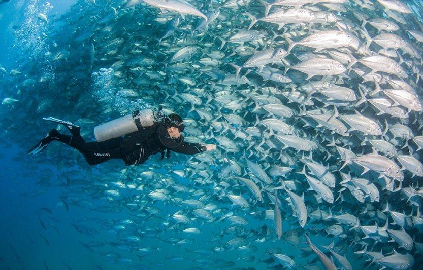 夏季热带海滩逃生